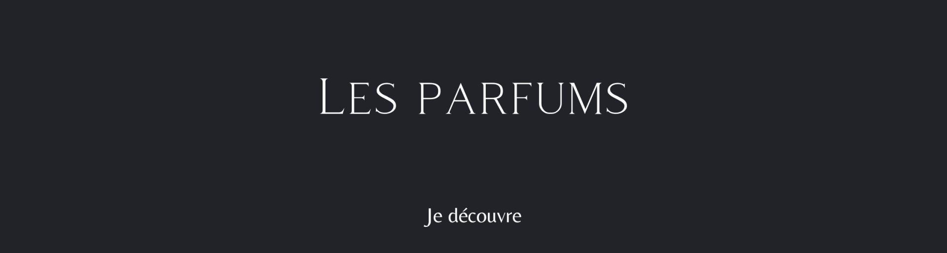 Copie de copie de bannie re d accueil copie 4
